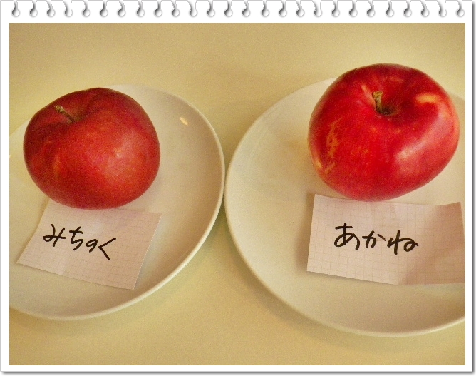 リンゴ