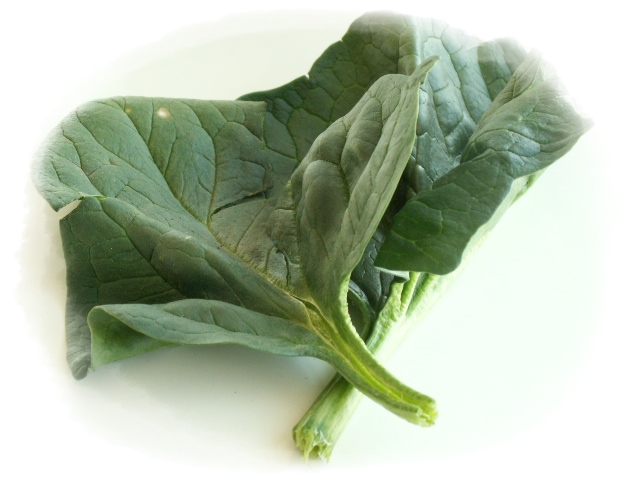 越冬野菜