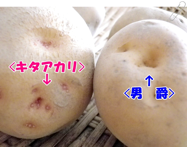 母さんめし