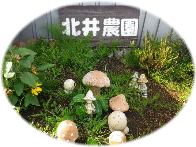 北井農園