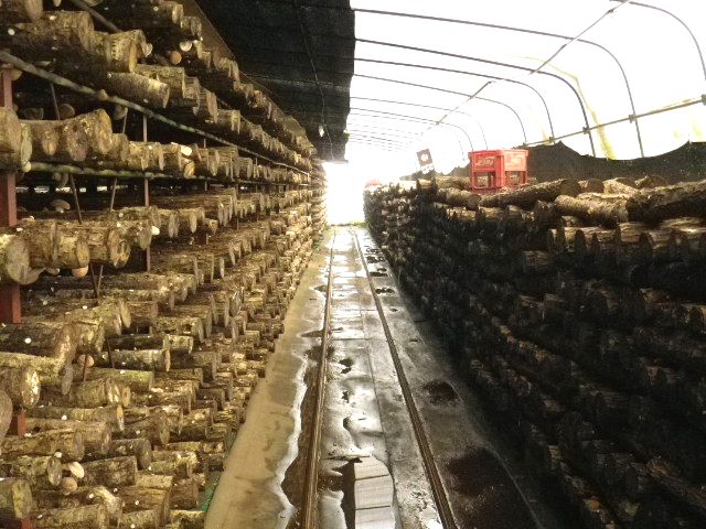 北井農園
