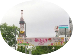 2013花フェスタ