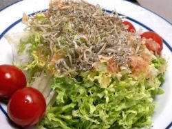 白菜サラダ
