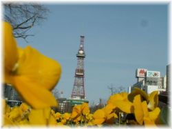 大通公園