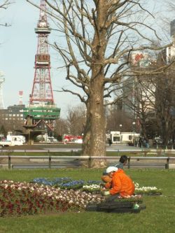 大通公園