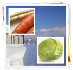 冬野菜