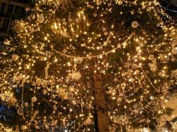 クリスマス