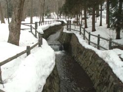 雪融け