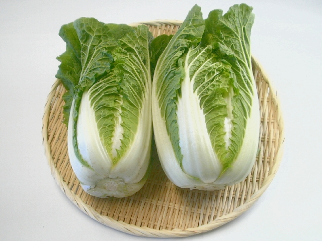 ミニハクサイ(お黄にいり)