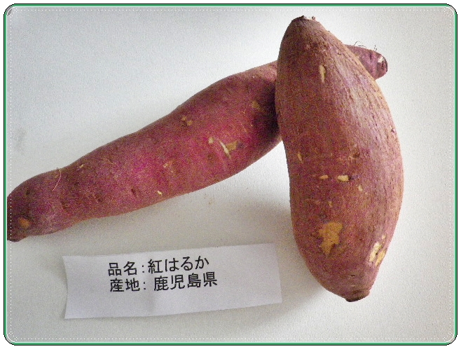 ソムリエ便