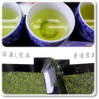 日本茶講座