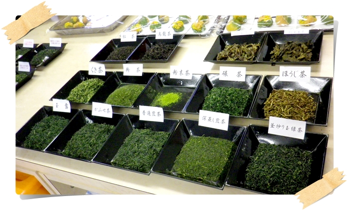 日本茶講座