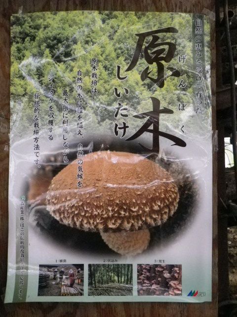 北井農園