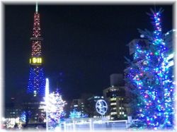 2012ホワイトイルミネーション