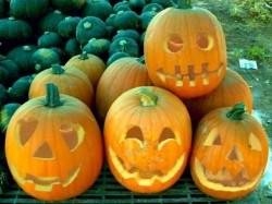 ハロウィンカボチャ