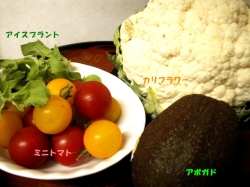ぺぽ