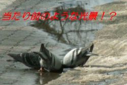 大震災