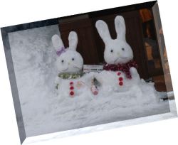 ’11雪あかり