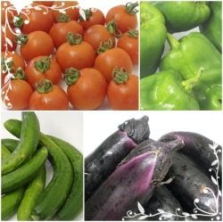 野菜