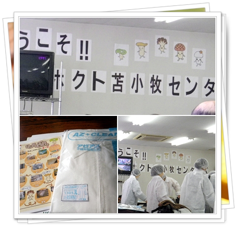 きのこ