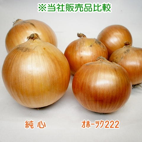 純心