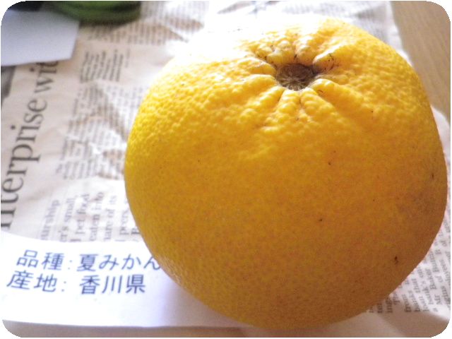 野菜ソムリエ便