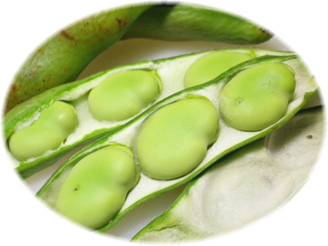 野菜ソムリエ便