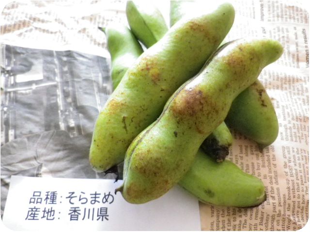野菜ソムリエ便