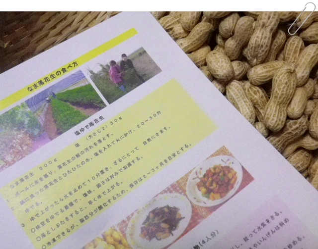 念願の なま落花生 北海道産 形にこだわらない野菜の通販ショップ おにおんぼうず