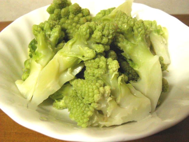 サンゴショウ